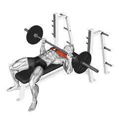 Bench Press demonstration