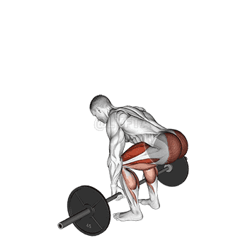 Deadlift demonstration