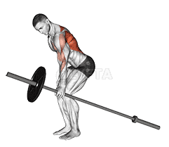 Barbell One Arm Bent over Row demonstration