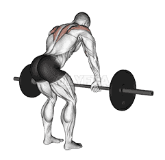 Rear Delt Row demonstration