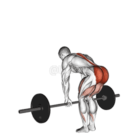 Romanian Deadlift demonstration