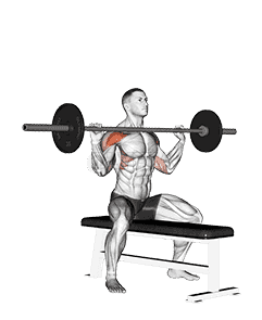 Barbell Seated Overhead Press demonstration