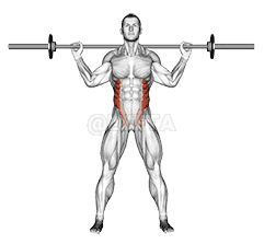 Barbell Standing Twist demonstration