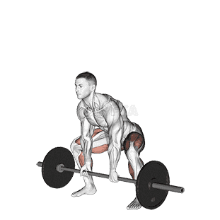 Sumo Deadlift demonstration