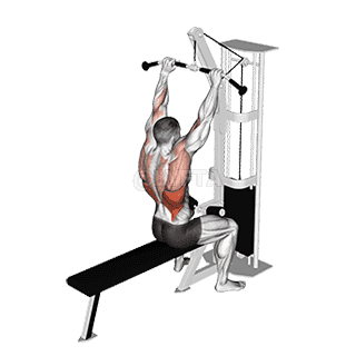 Bar Lateral Pulldown demonstration