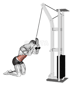 Cable Kneeling Crunch demonstration