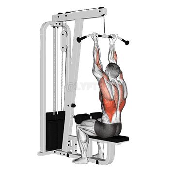 Reverse-grip Straight Back Seated High Row demonstration