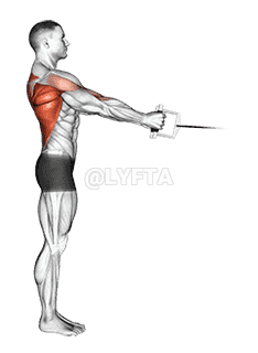 Cable Standing Row demonstration