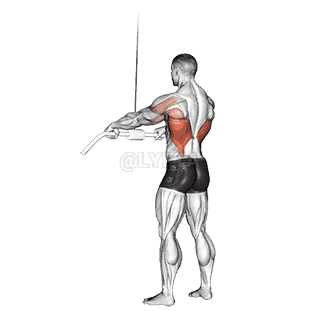 Straight Arm Pulldown demonstration