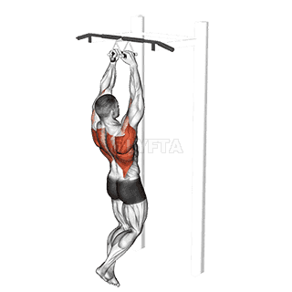 Chin-ups demonstration