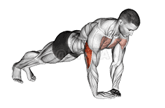 Diamond Push-up demonstration