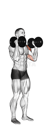 Dumbbell Alternate Side Press demonstration