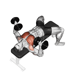 Dumbbell Bench Press demonstration