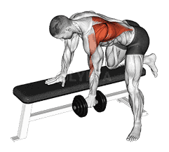 One Arm Bent-over Row demonstration