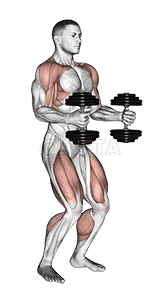 Dumbbell Clean demonstration