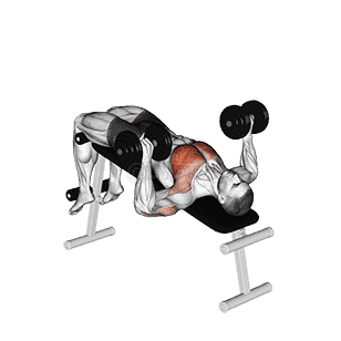 Decline Bench Press demonstration