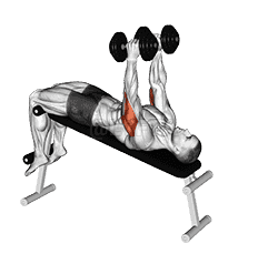 Decline Triceps Extension demonstration