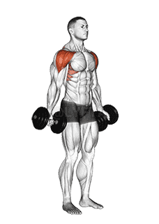 Dumbbell Full Can Lateral Raise demonstration