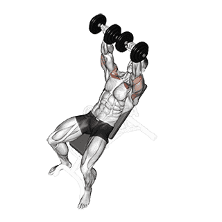 Incline Bench Press demonstration