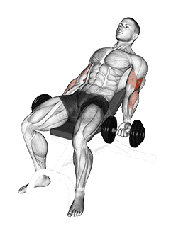 Dumbbell Incline Curl demonstration