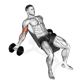 Incline Inner Biceps Curl demonstration