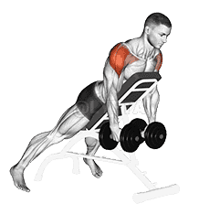 Incline Rear Lateral Raise demonstration