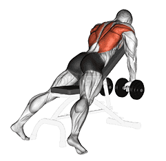 Dumbbell Incline Row demonstration