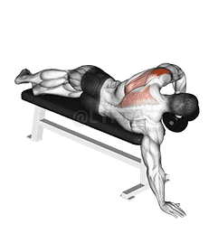 Dumbbell Lying One Arm Deltoid Rear demonstration