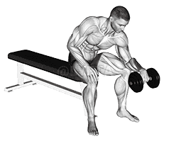 One arm Revers Wrist Curl demonstration