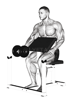 Dumbbell Preacher Curl demonstration