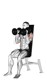 Dumbbell Seated Shoulder Press demonstration