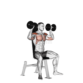 Seated Shoulder Press demonstration