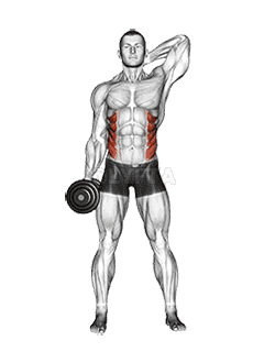 Dumbbell Side Bend demonstration