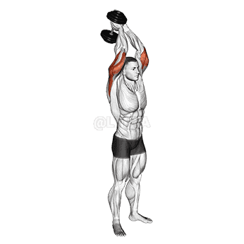 Standing Triceps Extension demonstration