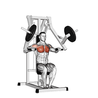 Lever Chest Press demonstration