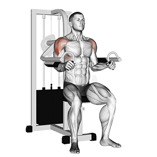 Lever Lateral Raise demonstration