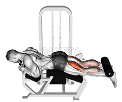 Lever Lying Leg Curl demonstration