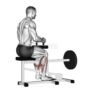 Lever Seated Calf Raise demonstration