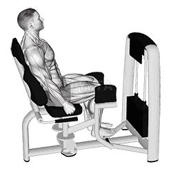 Lever Seated Hip Abduction demonstration