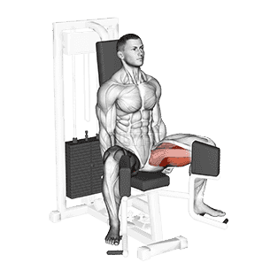 Lever Seated Hip Adduction demonstration