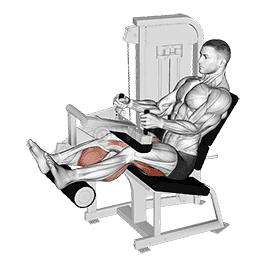 Lever Seated Leg Curl demonstration