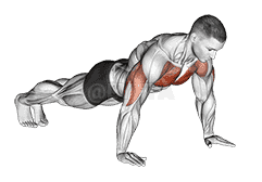 Push-up demonstration