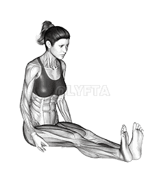 Seated Straight Leg Calf Stretch demonstration