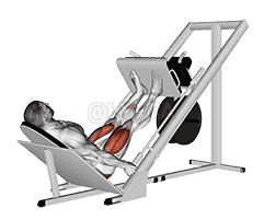 Sled 45° Leg Press demonstration