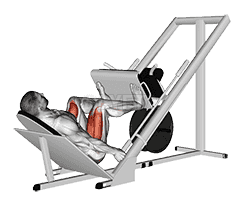 Sled 45° Leg Press demonstration