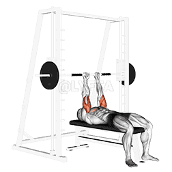 Smith Close-Grip Bench Press demonstration