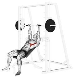 Smith Incline Shoulder Raises demonstration