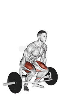 Trap Bar Deadlift demonstration