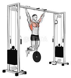 Weighted Pull-Up demonstration