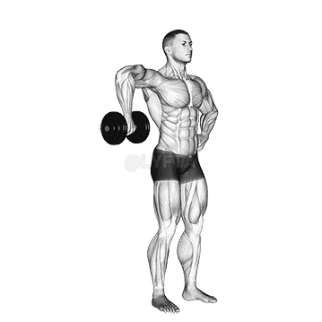 Upright Shoulder External Rotation demonstration